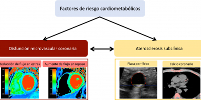 Los factores de riesgo cardiovascular (en particular los componentes del síndrome metabólico, la resistencia a la insulina y la diabetes) alteran la función microvascular coronaria y aumentan el riesgo de enfermedad aterosclerótica, la cual a su vez se asocia con alteraciones en la microcirculación coronaria.