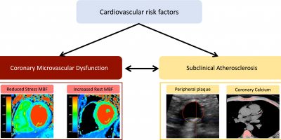 Cardiovascular risk factors (particularly metabolic syndrome, insulin resistance, and diabetes) alter coronary microvascular function and increase the risk of atherosclerotic disease, which itself leads to changes in the coronary microcirculation.