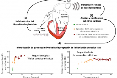 Resumen gráfico de la metodología del estudio y su aplicación médica.