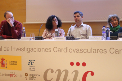 CNIC y FECYT organizan una jornada clave sobre las novedades de los Programas de Trabajo del ERC para 2026 y 2027