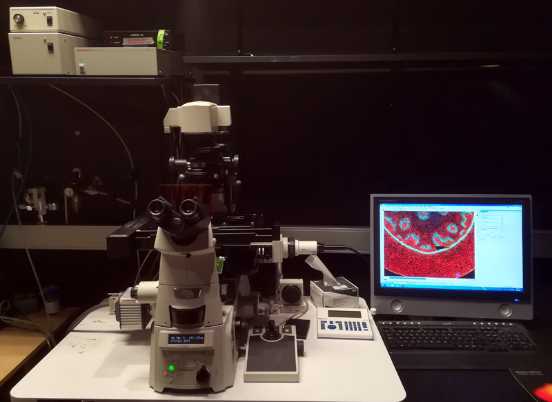 Microscopio invertido de fluorescencia de campo ancho, con cámaras CCD laterales y sistema de iluminación LED