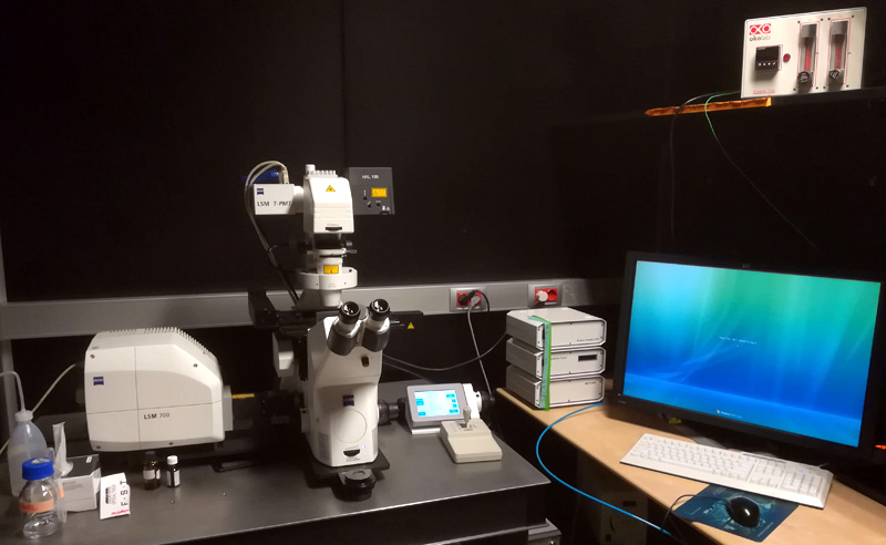 Sistema de microscopía confocal Zeiss700 acoplado a microscopio invertido, totalmente motorizado, con cabeza escaneadora lateral